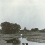 1997 Tiel - Wetlands - Silvergelatine Print
